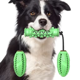 image-Dog Chew Toys Pet Toothbrush Rubber Bones Teeth Cleaning