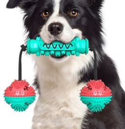 image-Dog Chew Toys Pet Toothbrush Rubber Bones Teeth Cleaning