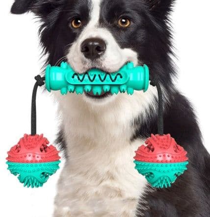 image-Dog Chew Toys Pet Toothbrush Rubber Bones Teeth Cleaning