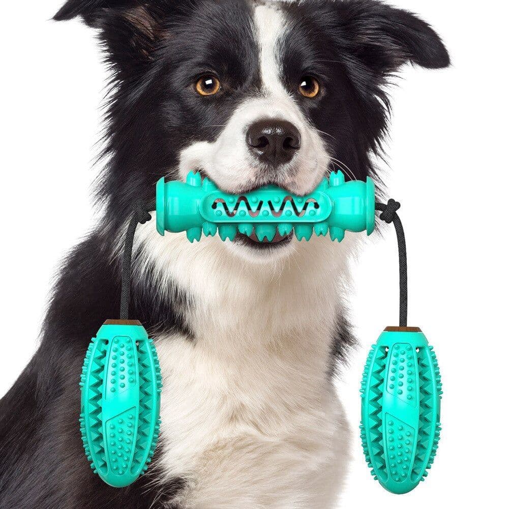 image-Dog Chew Toys Pet Toothbrush Rubber Bones Teeth Cleaning