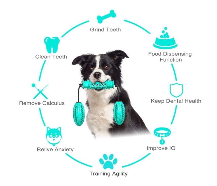 image-Dog Chew Toys Pet Toothbrush Rubber Bones Teeth Cleaning