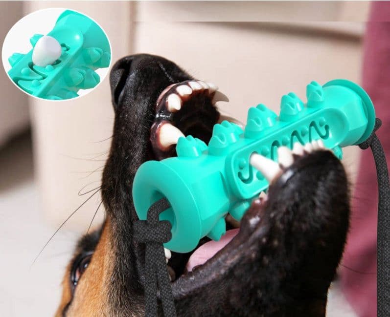 image-Dog Chew Toys Pet Toothbrush Rubber Bones Teeth Cleaning