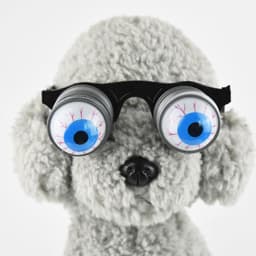 image-Pet Funny Glasses Props Spring Glasses