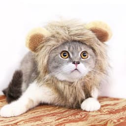 image-Funny Pet Hat For Small Dogs Cats Hat Emulation Lion Hair Mane Ears Head Cap Scarf Pet Halloween Festival Costume
