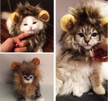 image-Funny Pet Hat For Small Dogs Cats Hat Emulation Lion Hair Mane Ears Head Cap Scarf Pet Halloween Festival Costume