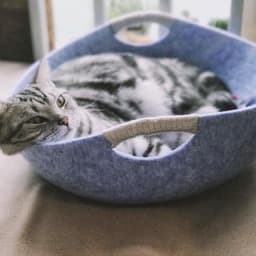 image-Pet Perch Cat Scratcher Bed House
