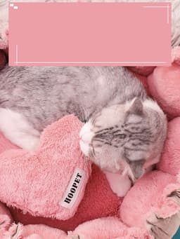 image-Four Seasons Universal Pet House Cat Dog Mat Bed Pink Petal