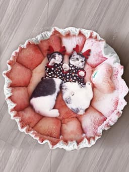 image-Four Seasons Universal Pet House Cat Dog Mat Bed Pink Petal