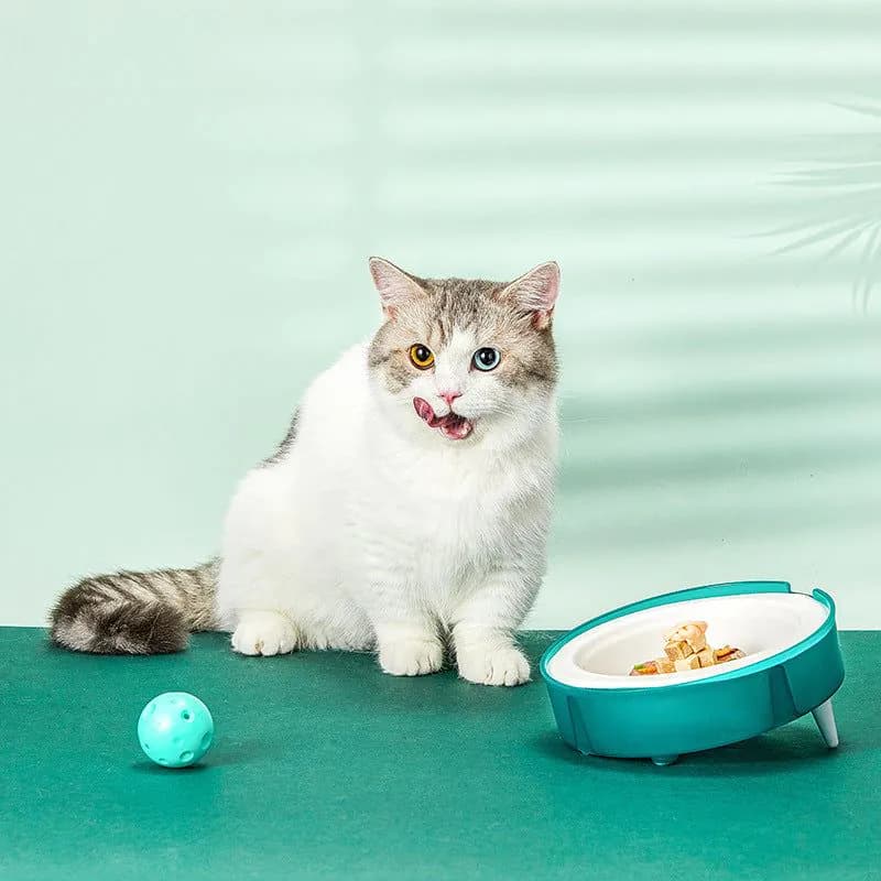 image-Cat Disposable Food Bowl Replaceable Portable Bowl Dog Feeders Cat Bowls Bowl Holder Eco-friendly Paper Bowl