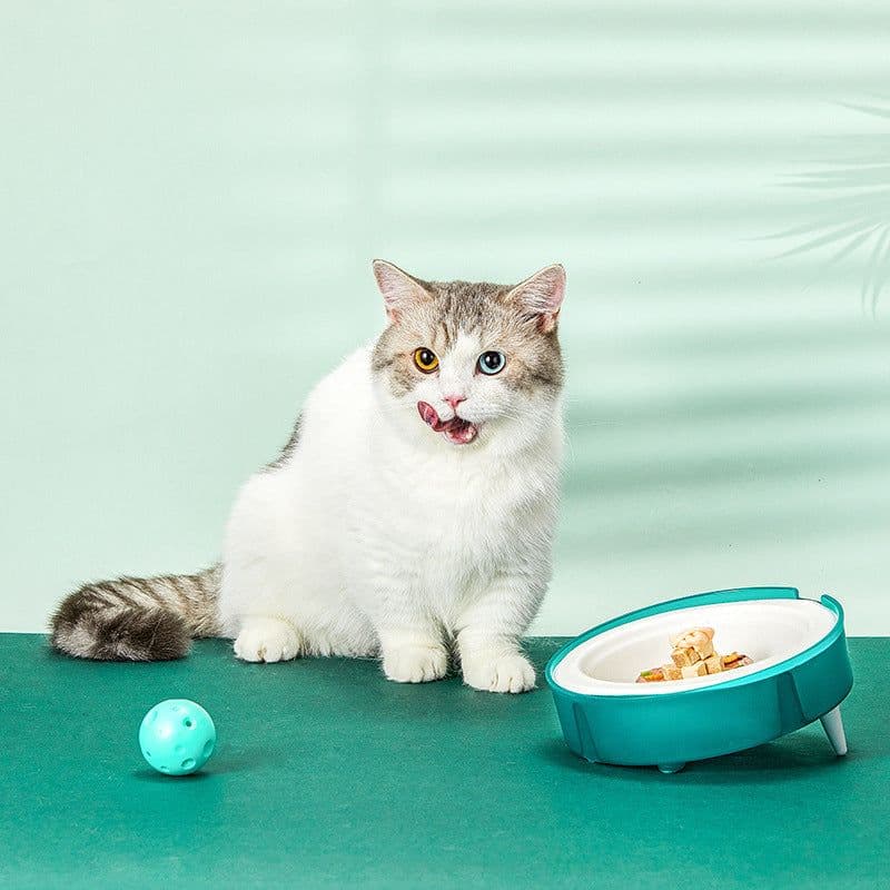 image-Cat Disposable Food Bowl Replaceable Portable Bowl Dog Feeders Cat Bowls Bowl Holder Eco-friendly Paper Bowl