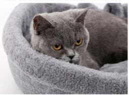 image-Heart Shape Soft Cozy Cat Pet Bed For Large Small Puppy Dog Cute Warm Cushion Litter Nest Basket Kennel Kitten House Accessories