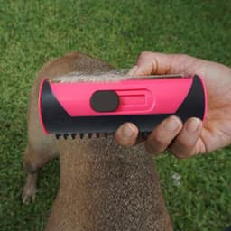 image-Pet Dog Hair Comb Lint Roller Dog Cat Puppy Cleaning Brush Cats Hair Sofa Carpet Cleaner Brushes Pet Supplies Comb