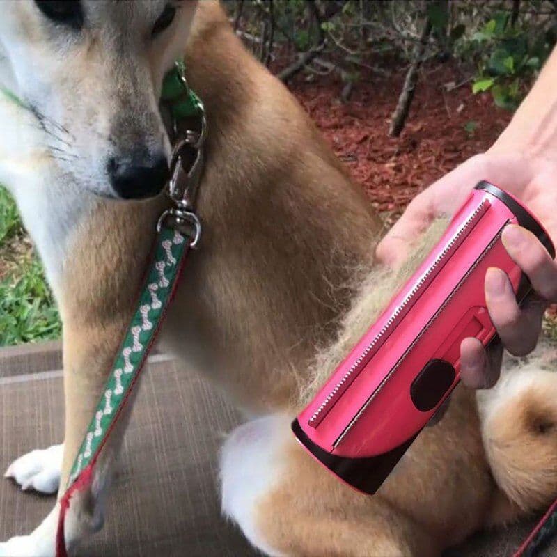 image-Pet Dog Hair Comb Lint Roller Dog Cat Puppy Cleaning Brush Cats Hair Sofa Carpet Cleaner Brushes Pet Supplies Comb