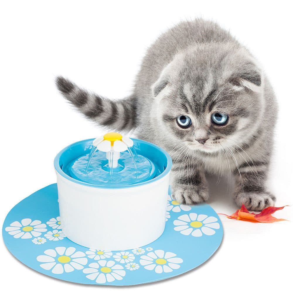 image-Electric water feeder