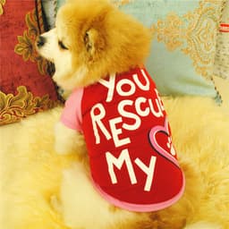 image-Puppy clothes spring and summer