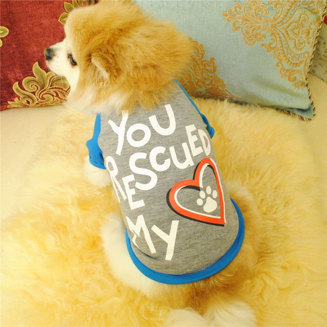image-Puppy clothes spring and summer