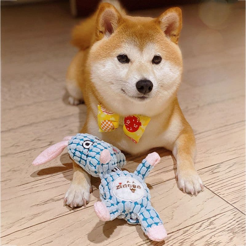 image-Plush pet supplies