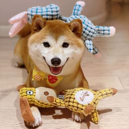 image-Plush pet supplies