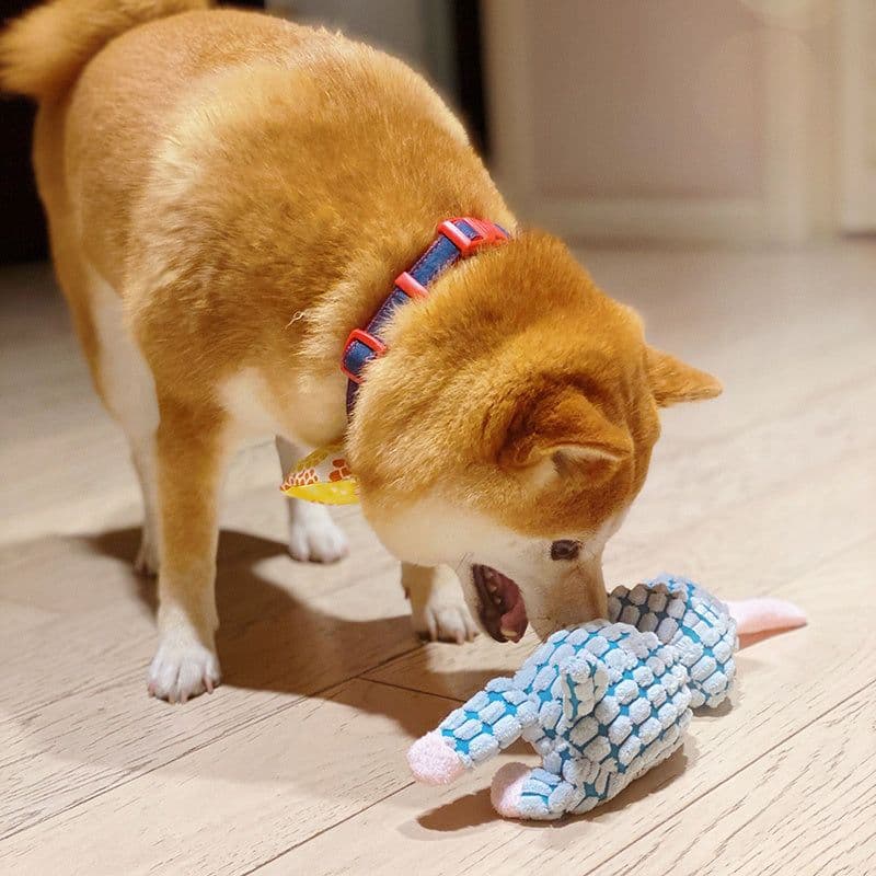 image-Plush pet supplies