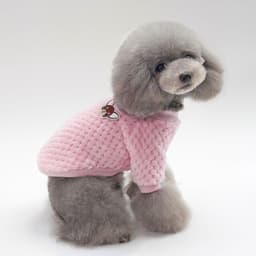 image-clothes for pets