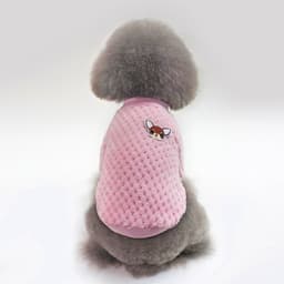 image-clothes for pets