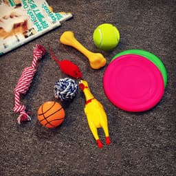 image-Vocal dog toy