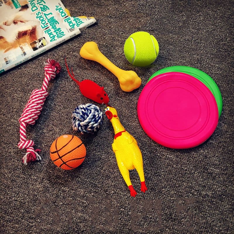 image-Vocal dog toy
