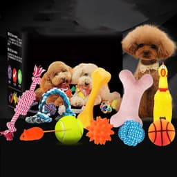 image-Vocal dog toy
