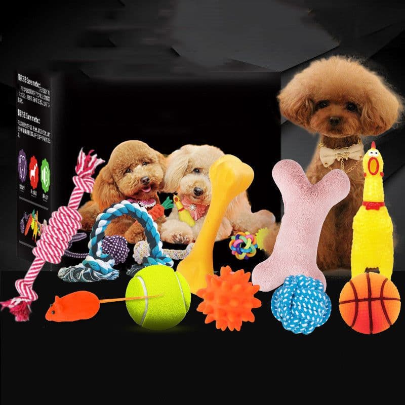 image-Vocal dog toy