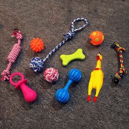image-Vocal dog toy