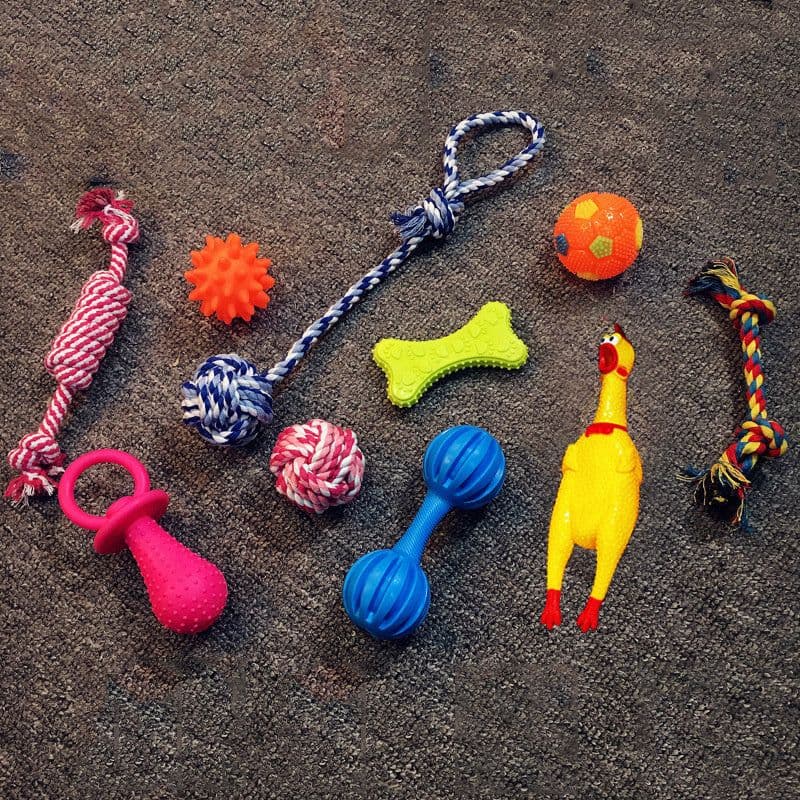 image-Vocal dog toy