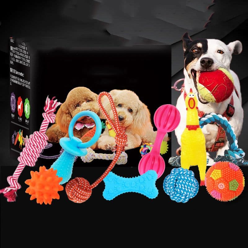 image-Vocal dog toy