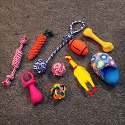 image-Vocal dog toy