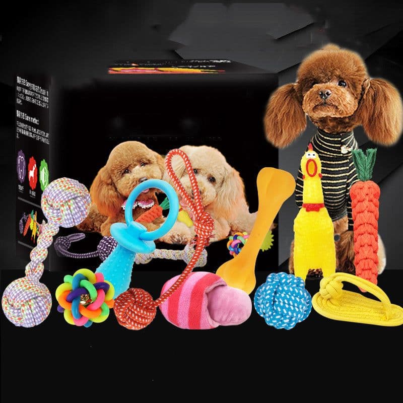 image-Vocal dog toy