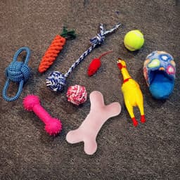 image-Vocal dog toy