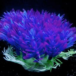 image-Fish tank landscaping aquarium accessories