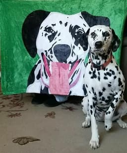 image-Custom Desig Flannel Blanket Knee Warm Blanket