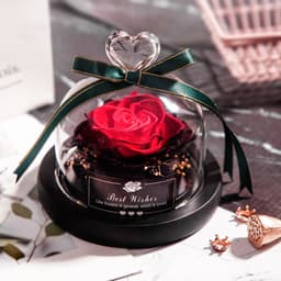 image-Valentine's Day Christmas Dried Flowers For Home Decor Wedding Gifts Dried Flowers Eternal Real Rose Home Decor With LED In Glass