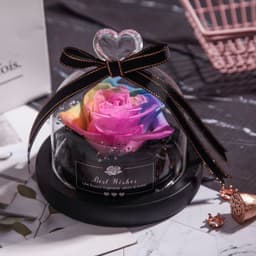 image-Valentine's Day Christmas Dried Flowers For Home Decor Wedding Gifts Dried Flowers Eternal Real Rose Home Decor With LED In Glass