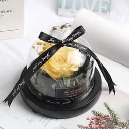 image-Valentine's Day Christmas Dried Flowers For Home Decor Wedding Gifts Dried Flowers Eternal Real Rose Home Decor With LED In Glass