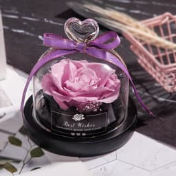 image-Valentine's Day Christmas Dried Flowers For Home Decor Wedding Gifts Dried Flowers Eternal Real Rose Home Decor With LED In Glass