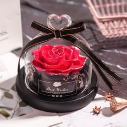 image-Valentine's Day Christmas Dried Flowers For Home Decor Wedding Gifts Dried Flowers Eternal Real Rose Home Decor With LED In Glass