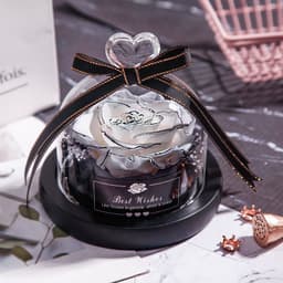image-Valentine's Day Christmas Dried Flowers For Home Decor Wedding Gifts Dried Flowers Eternal Real Rose Home Decor With LED In Glass