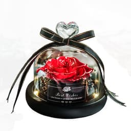 image-Valentine's Day Christmas Dried Flowers For Home Decor Wedding Gifts Dried Flowers Eternal Real Rose Home Decor With LED In Glass