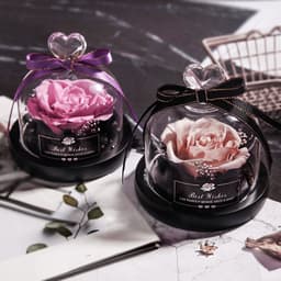 image-Valentine's Day Christmas Dried Flowers For Home Decor Wedding Gifts Dried Flowers Eternal Real Rose Home Decor With LED In Glass