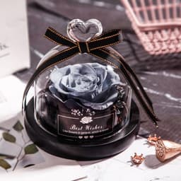image-Valentine's Day Christmas Dried Flowers For Home Decor Wedding Gifts Dried Flowers Eternal Real Rose Home Decor With LED In Glass