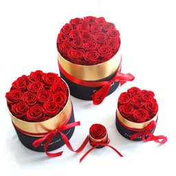 image-Eternal Roses In Box Preserved Real Rose Flowers With Box Set Valentines Day Gift Romantic Artificial Flowers