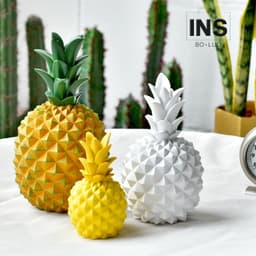 image-Simple Home Resin Decoration Photography Plants