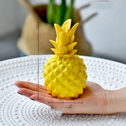 image-Simple Home Resin Decoration Photography Plants