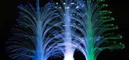 image-LED Fiber Optic Night Light Colourful Changing Lamp Multi-Color Christmas Tree Star Decoration Home Party Gift